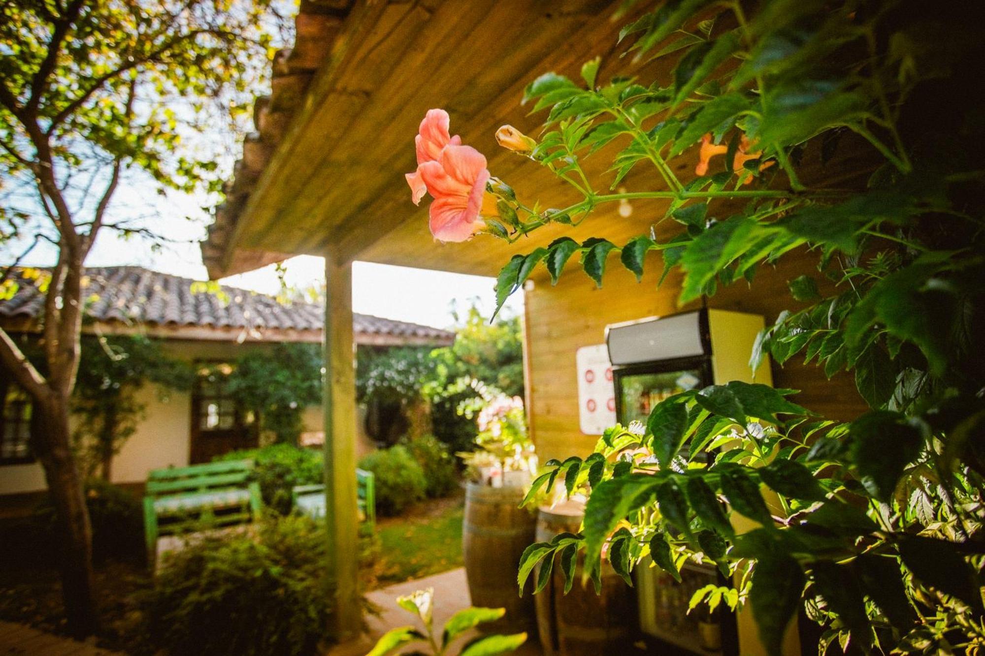 Hotel Hoja De Parra Santa Cruz Luaran gambar